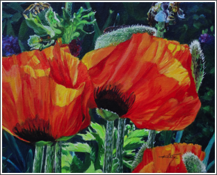 Dance of the Poppies
Sold